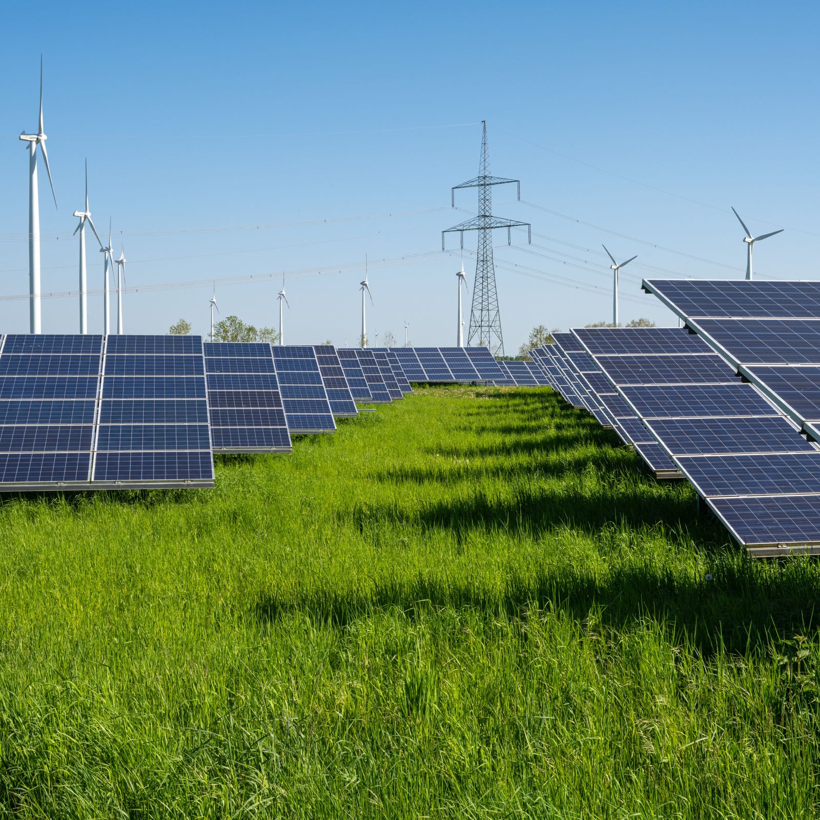 საგენერაციო ობიექტი